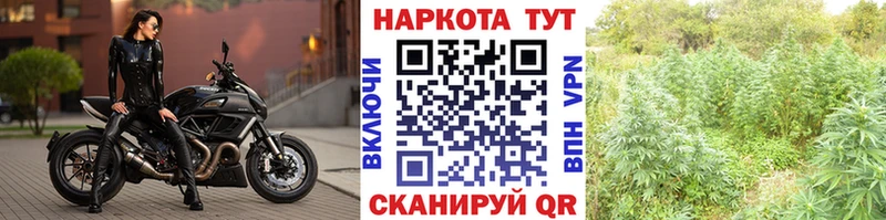 Купить Конопля  A PVP  ЭКСТАЗИ  ГАШИШ  Меф  Кокаин  Берёзовский