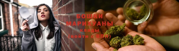 амф Дмитров