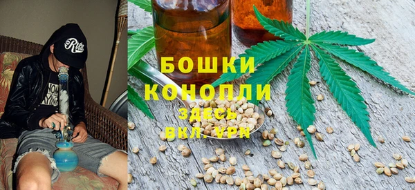 прущая мука Гусев